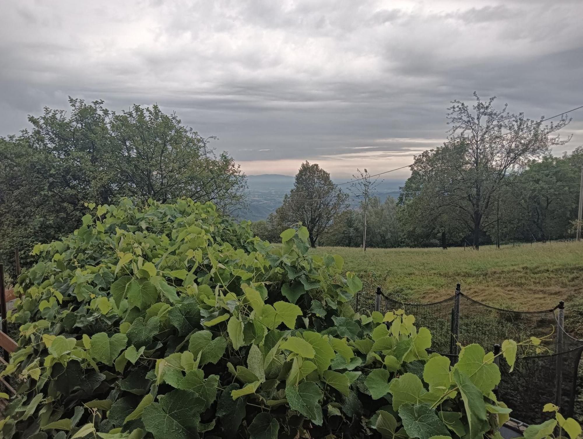 Guest house Le Moie Borgiallo